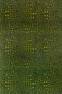 Thumbnail for Animal Print Cards