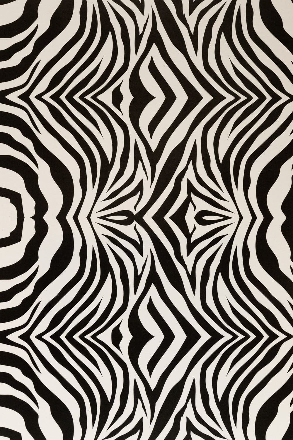 Animal Print Cards