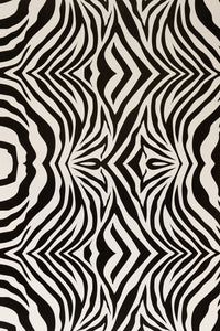 Thumbnail for Animal Print Cards
