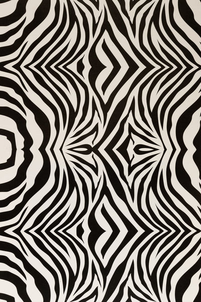 Animal Print Cards