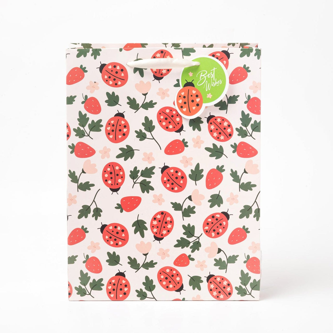 Gift Bags - LadyBug