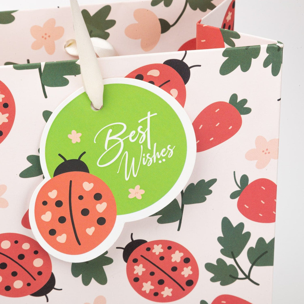 Gift Bags - LadyBug