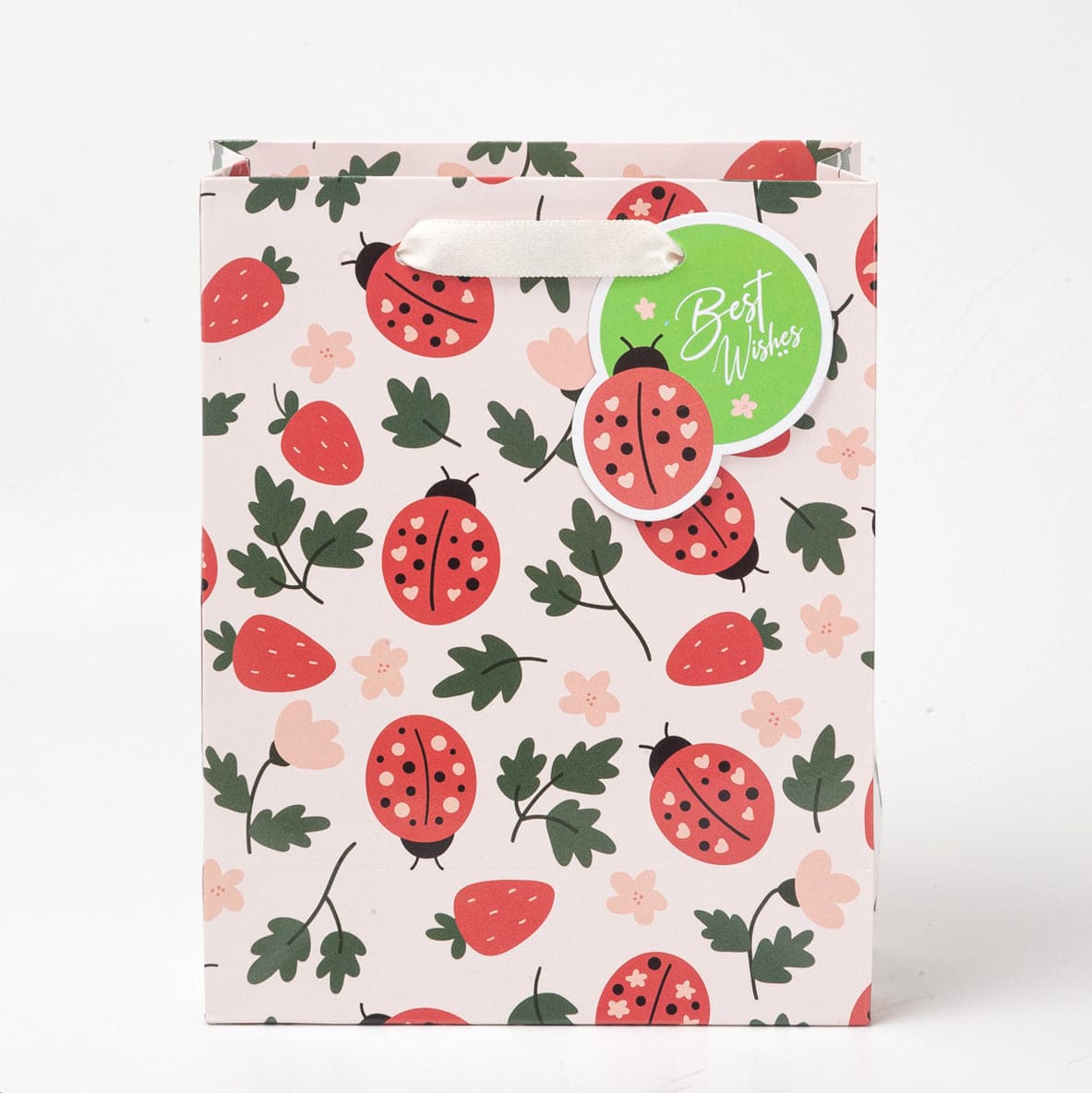 Gift Bags - LadyBug